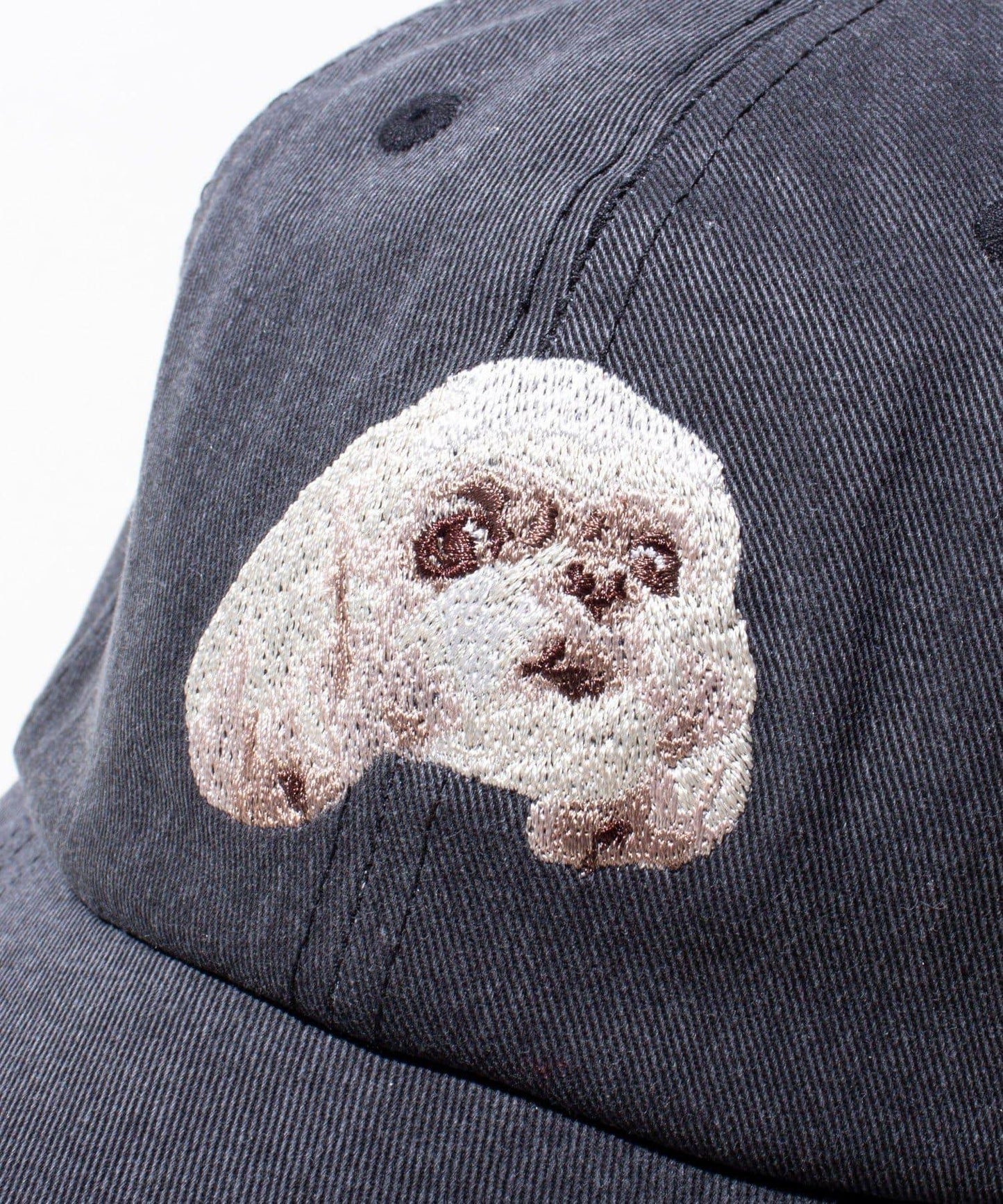 【GLOSTER】清洗後的狗刺繡帽