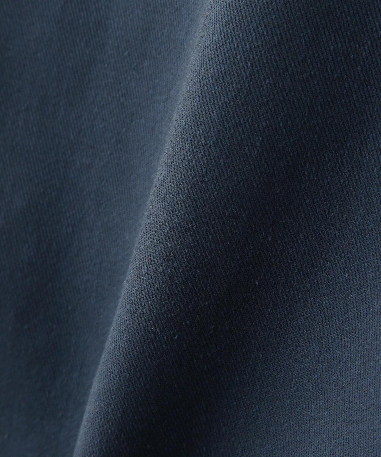 《Dickies × AVIREX》CARGO PANTS / 貨物褲 / カーゴパンツ