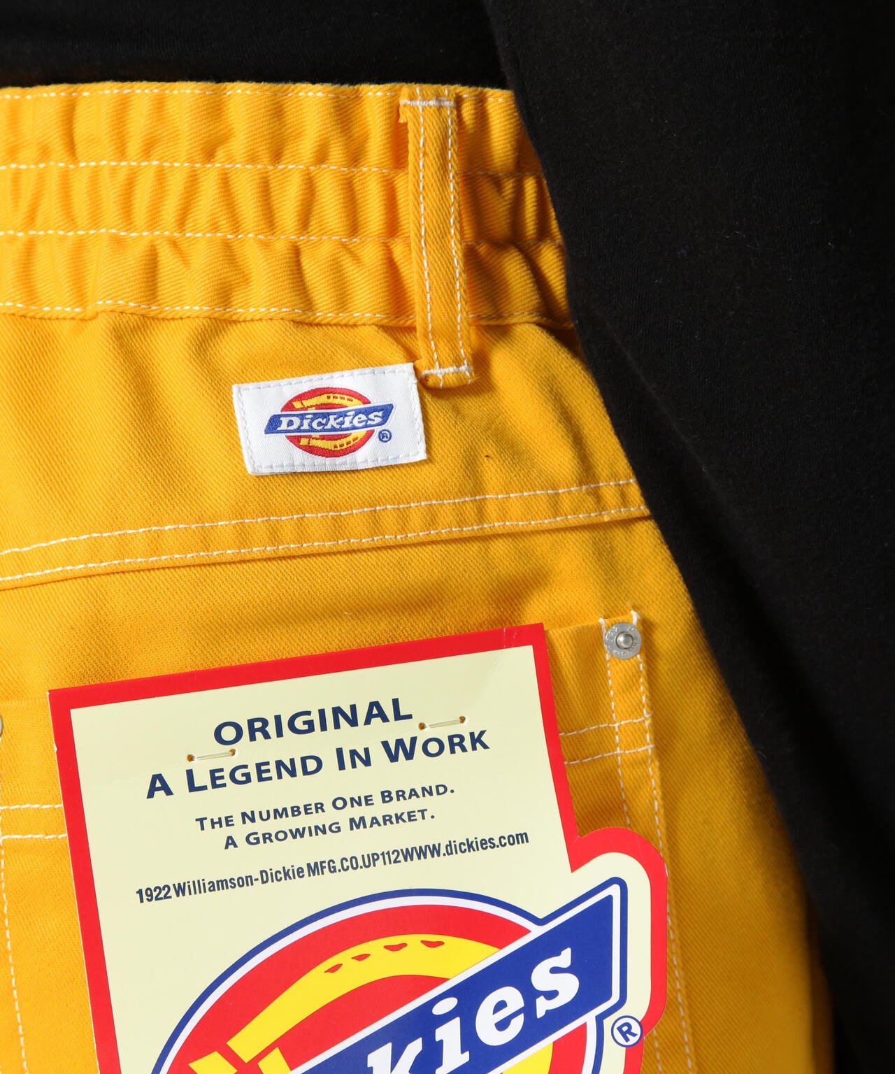 《Dickies × AVIREX》CARGO PANTS / 貨物褲 / カーゴパンツ