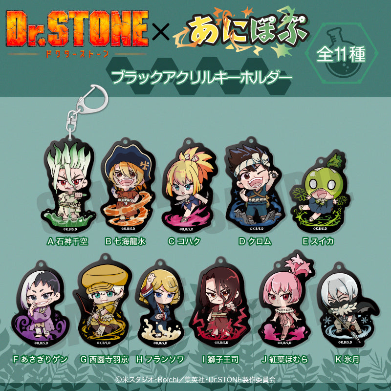 《Dr.STONE 石紀元》動漫周邊 純黑亞克力鑰匙扣 K 冰月