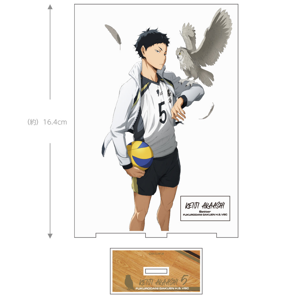 《排球少年》(大) 赤葦京治 亞克力支架Ver.1.0
