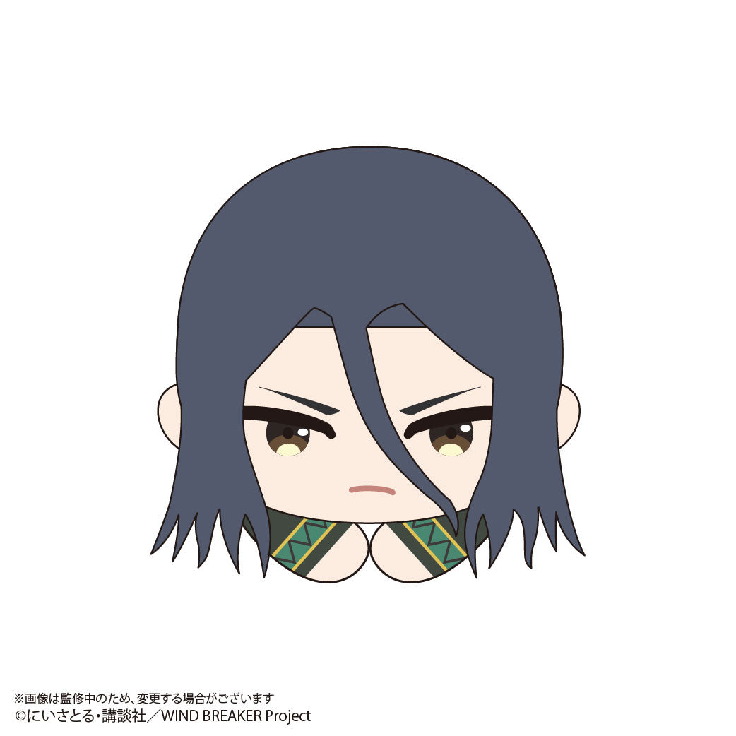 《防風少年》_WB-02 哈固角色收藏【整盒】
