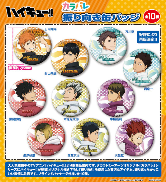 《排球少年》_卡拉帕萊 轉身 徽章【整盒】