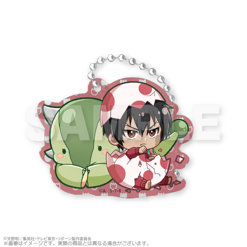 《家庭教師HITMAN REBORN!》_寶貝們 亞克力鑰匙扣 寶貝達瑪版 B盒 1盒