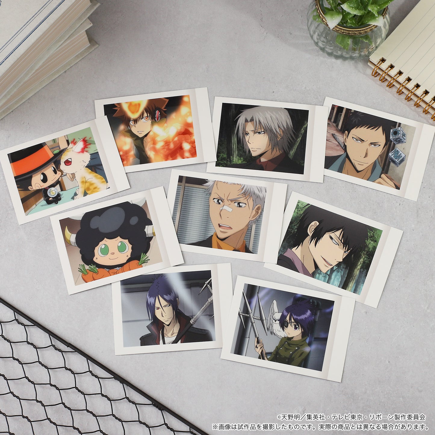家庭教師HITMAN REBORN!_卡牌/第5彈 【BOX/10包裝】