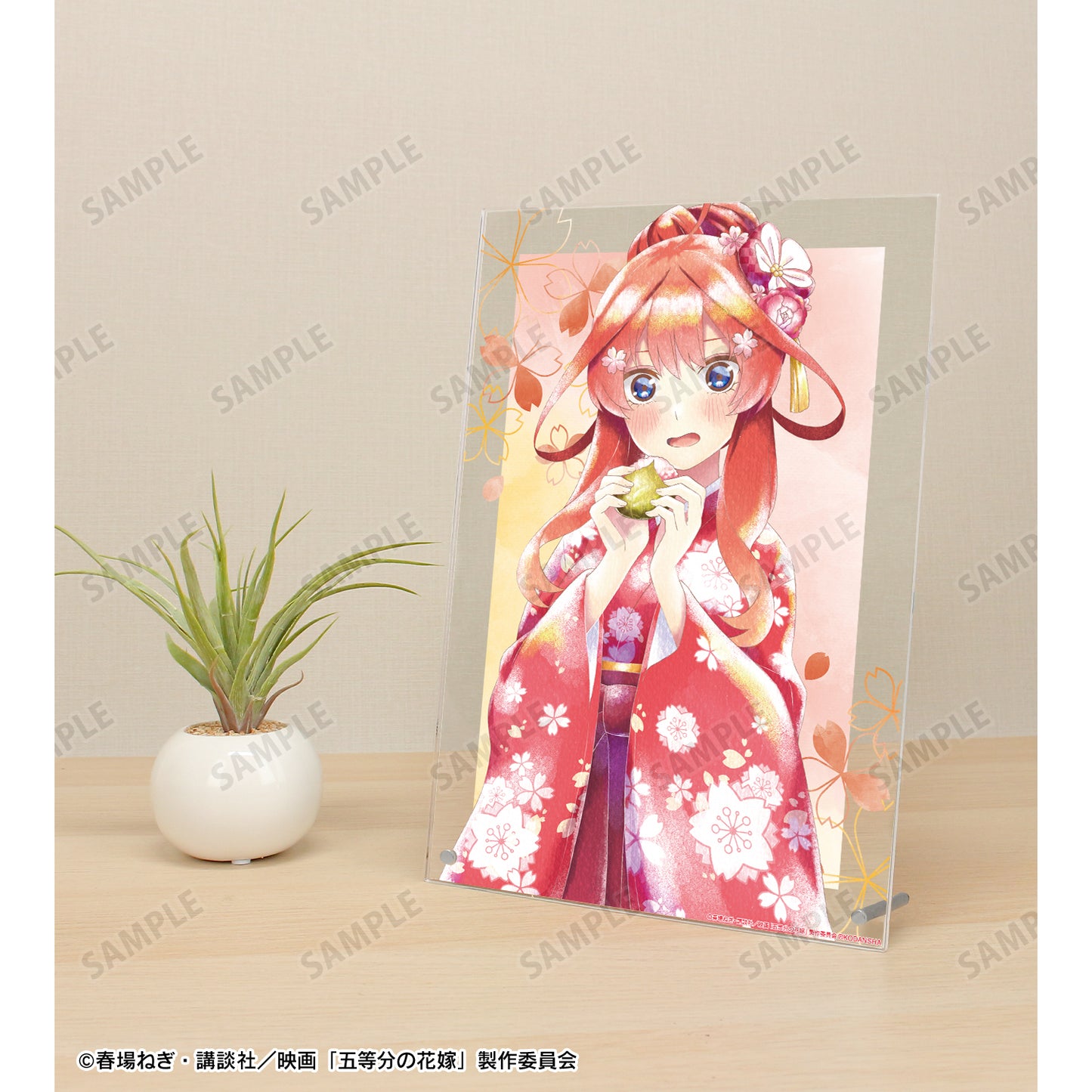 電影 《五等分的新娘》_描繪新作插圖 中野五月 櫻花和裝版 Ani-Art 水藍標籤 A4 亞克力面板