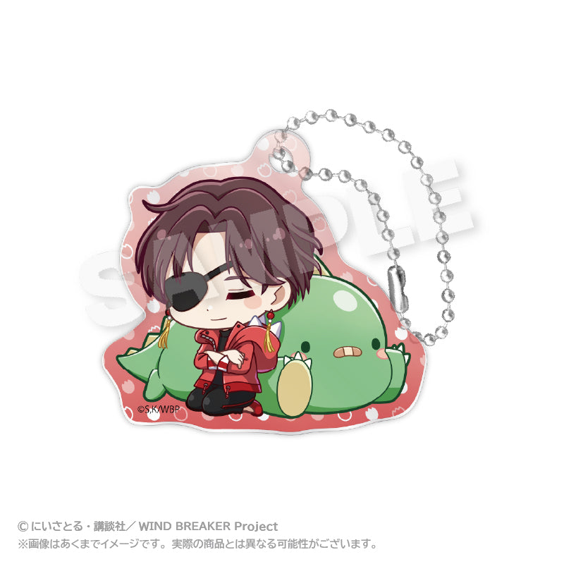 《防風少年》交易亞克力鑰匙扣 咆哮合集版 【盒裝/8個裝】