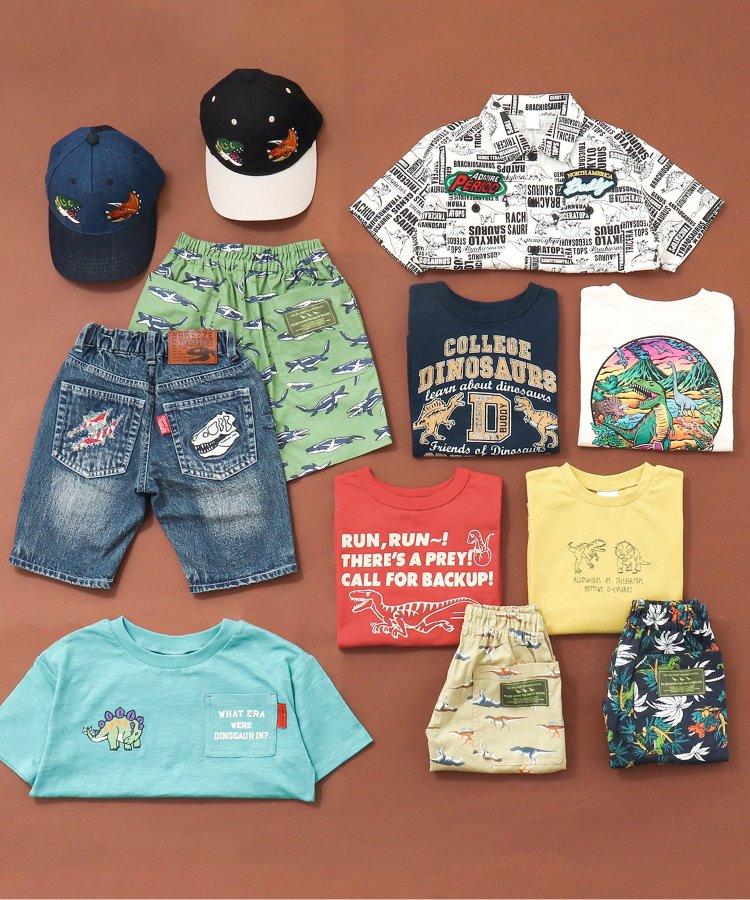 福井縣立恐龍博物館聯名恐龍問答貼T恤