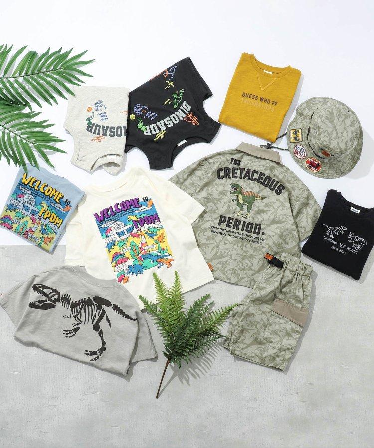 福井縣立恐龍博物館聯名款 野生動物園套裝