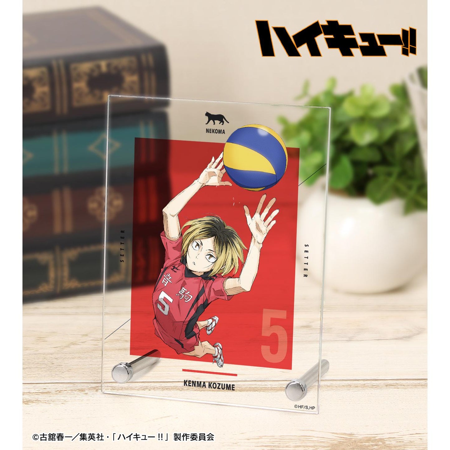 劇場版《排球少年》 垃圾場的決戰_孤爪研磨 A6亞克力面板