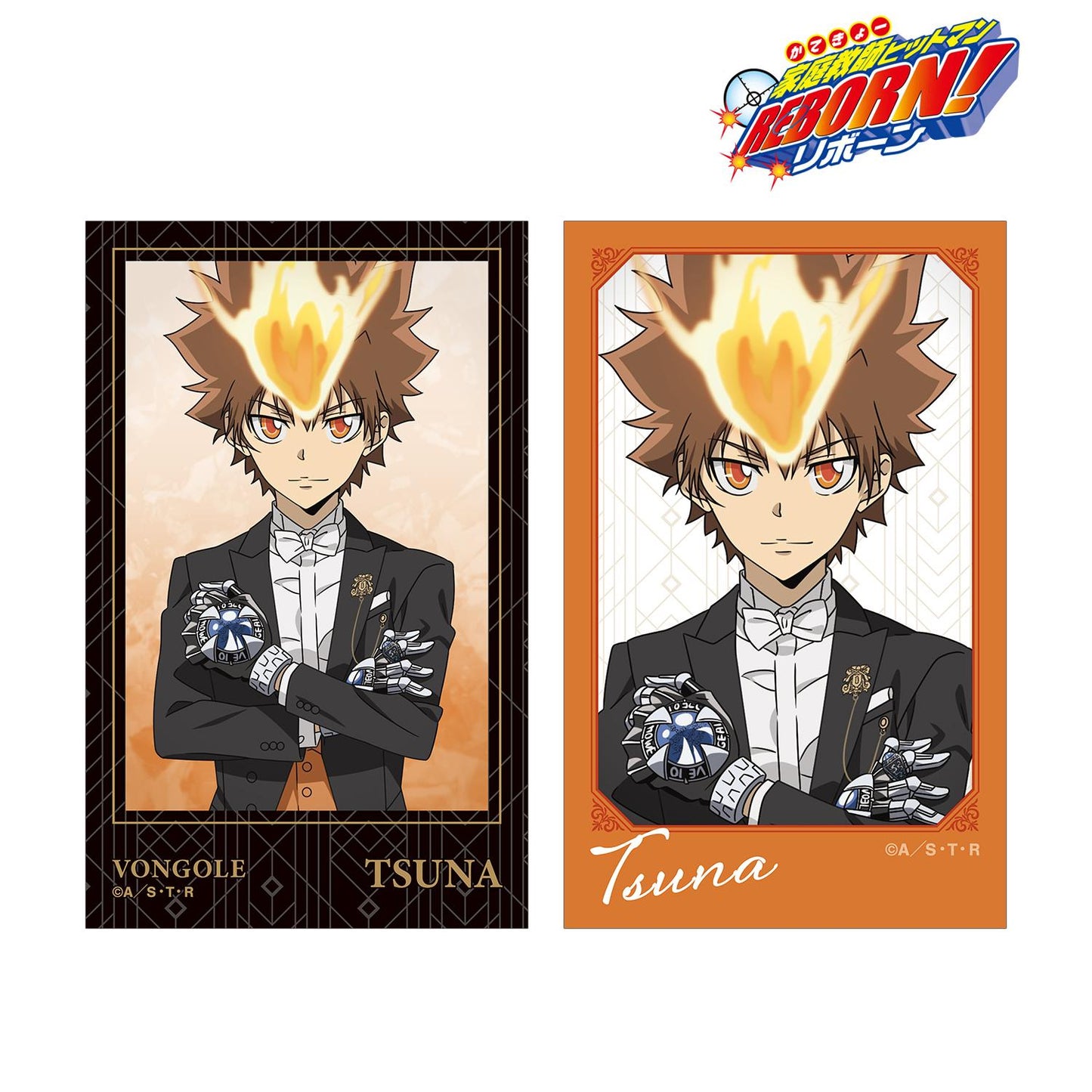《家庭教師HITMAN REBORN!》_描き下ろし 沢田 綱吉 燕尾服版 即可拍攝相機風格插畫卡片2張組合