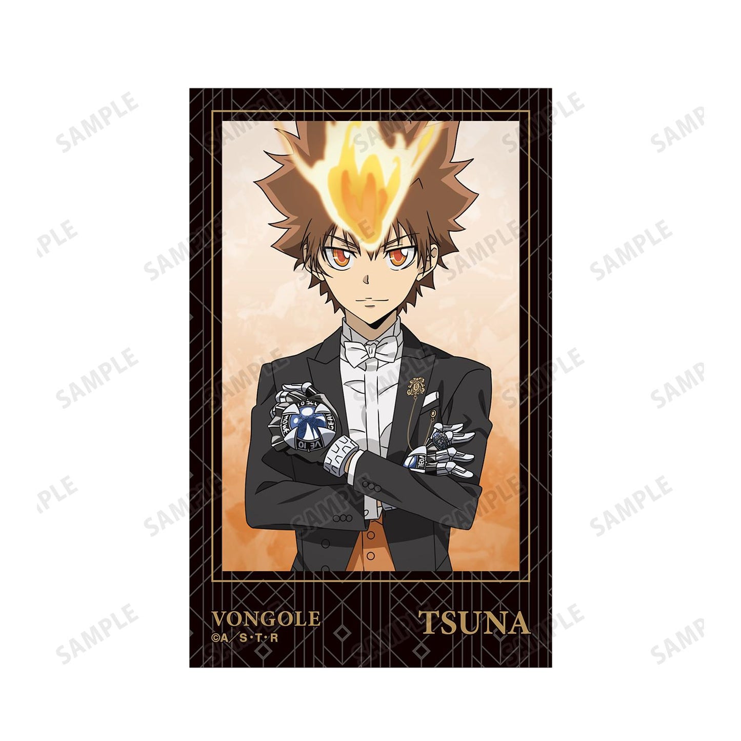 《家庭教師HITMAN REBORN!》_描き下ろし 沢田 綱吉 燕尾服版 即可拍攝相機風格插畫卡片2張組合