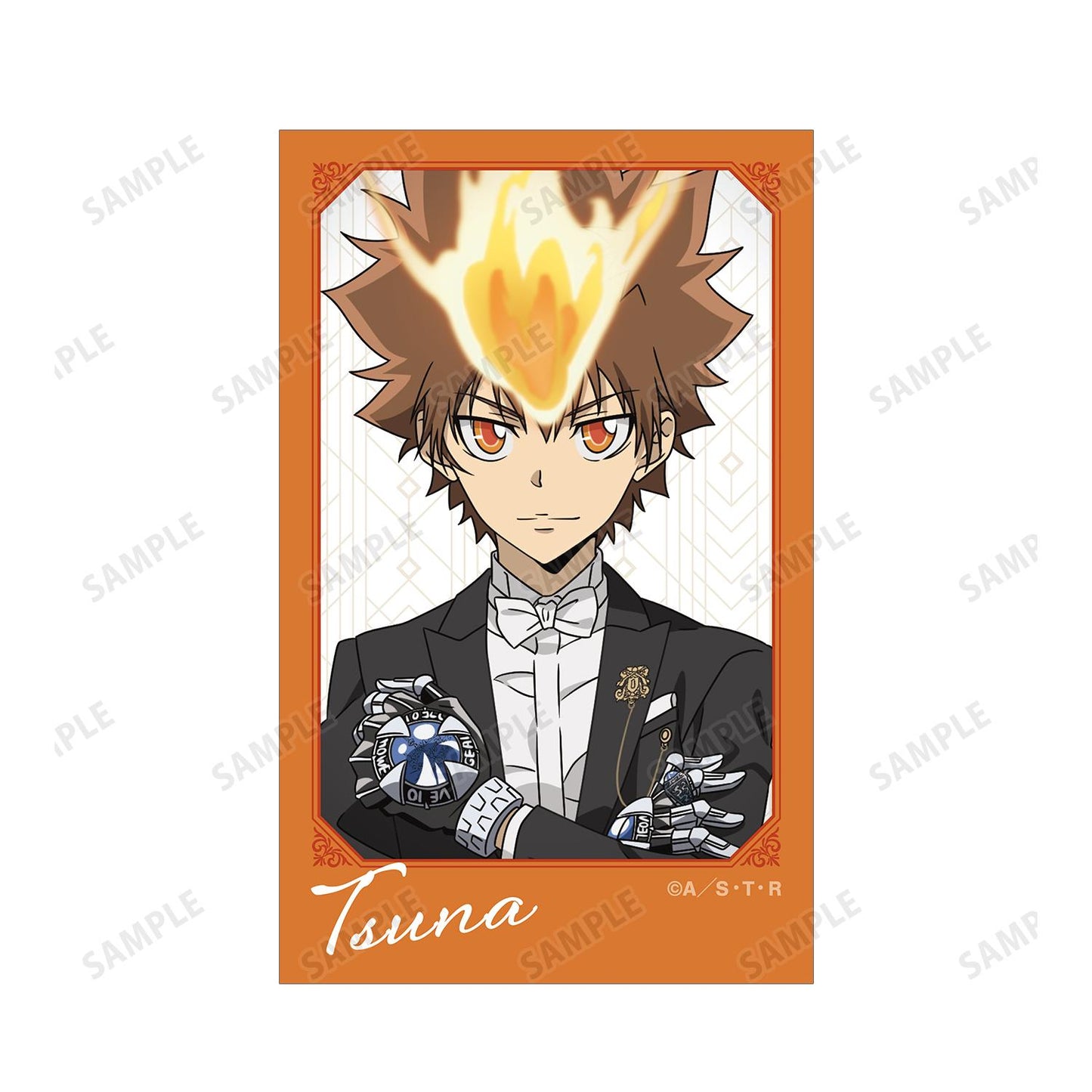 《家庭教師HITMAN REBORN!》_描き下ろし 沢田 綱吉 燕尾服版 即可拍攝相機風格插畫卡片2張組合