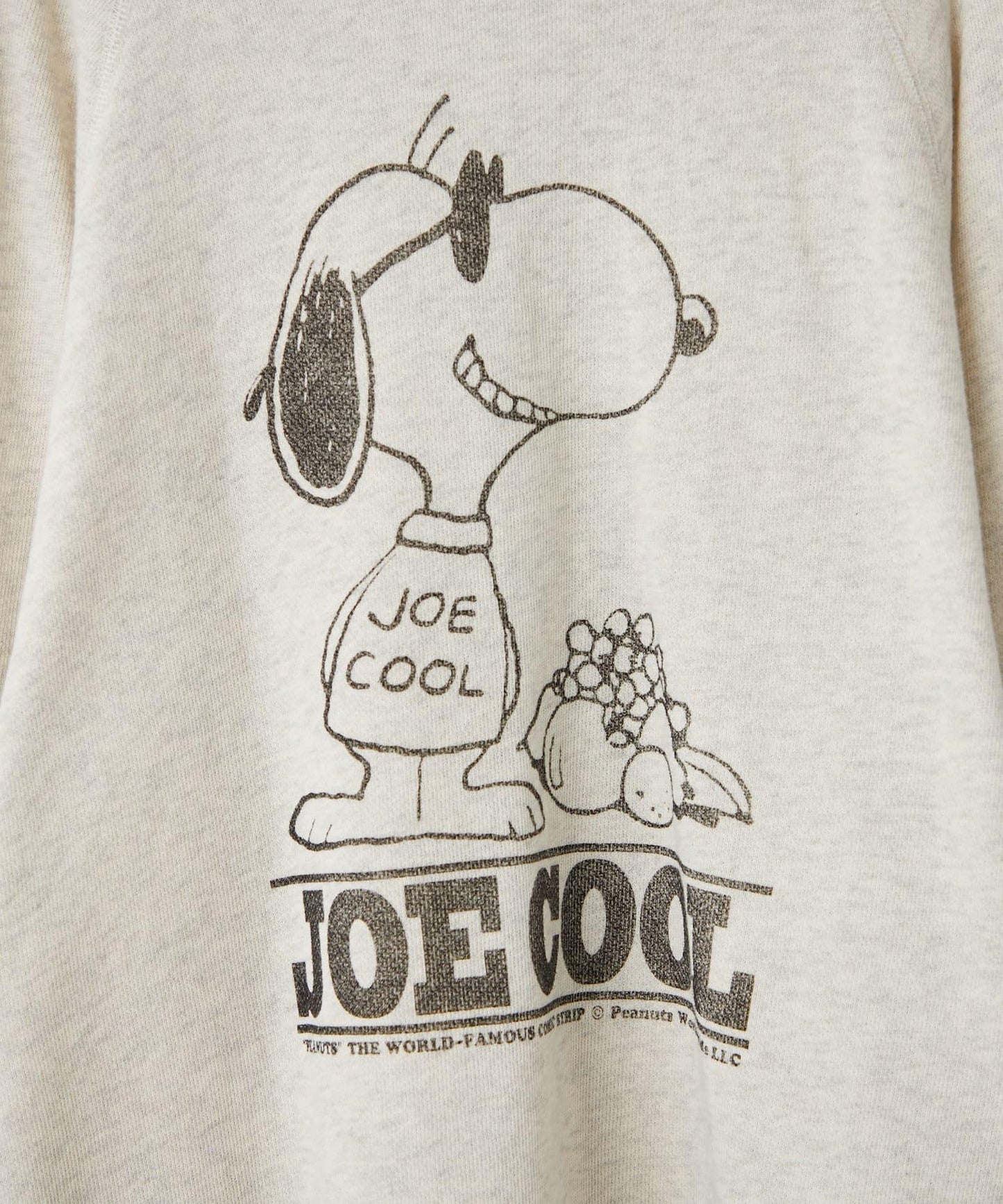 【WHIMSIC×PEANUTS×FTL】款衛衣