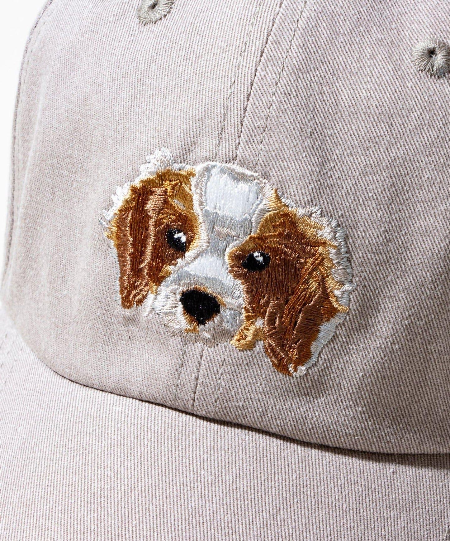 【GLOSTER】清洗後的狗刺繡帽