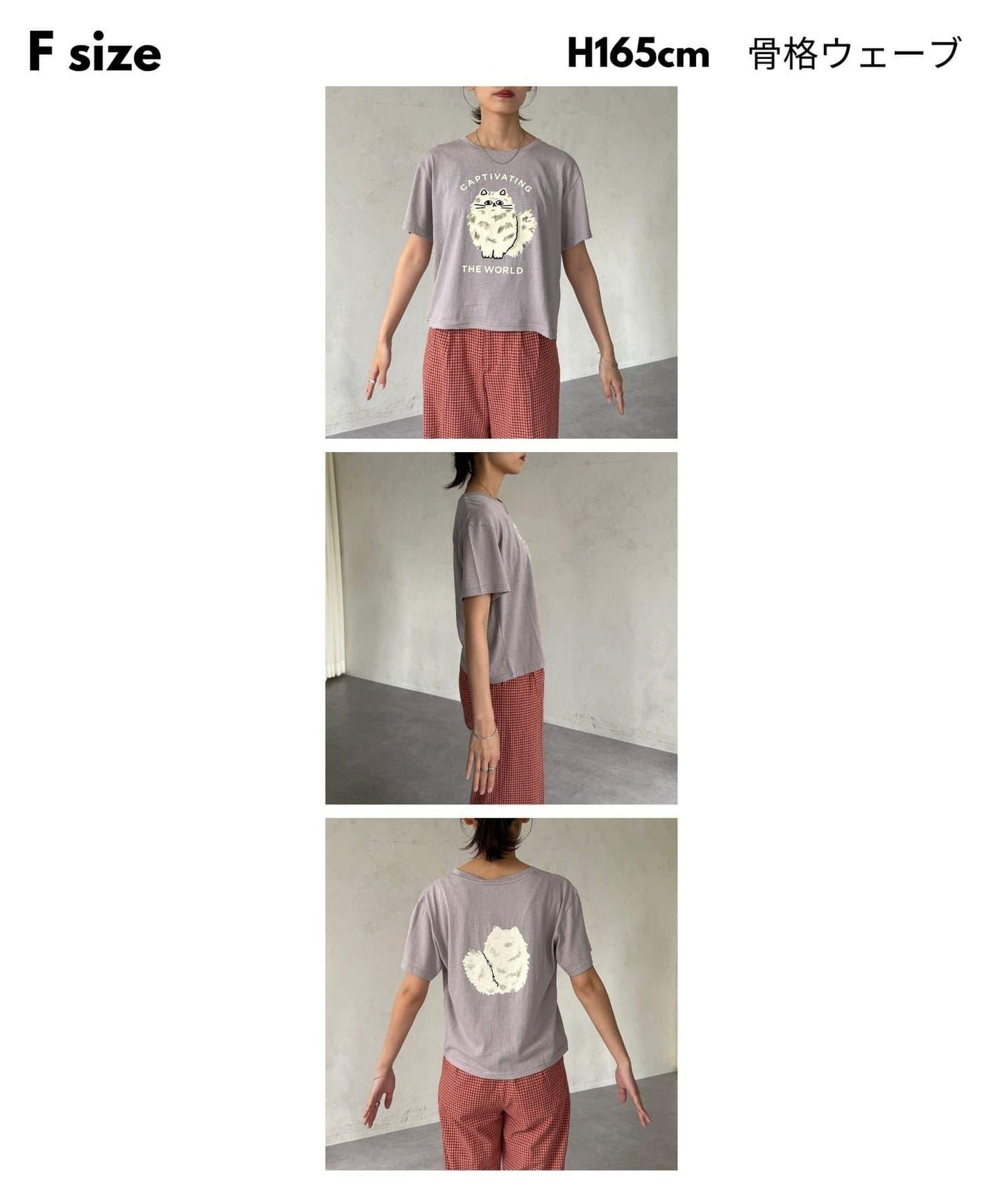透明絨面短袖T-shirt