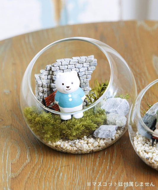 苔プリガラスドーム12cm