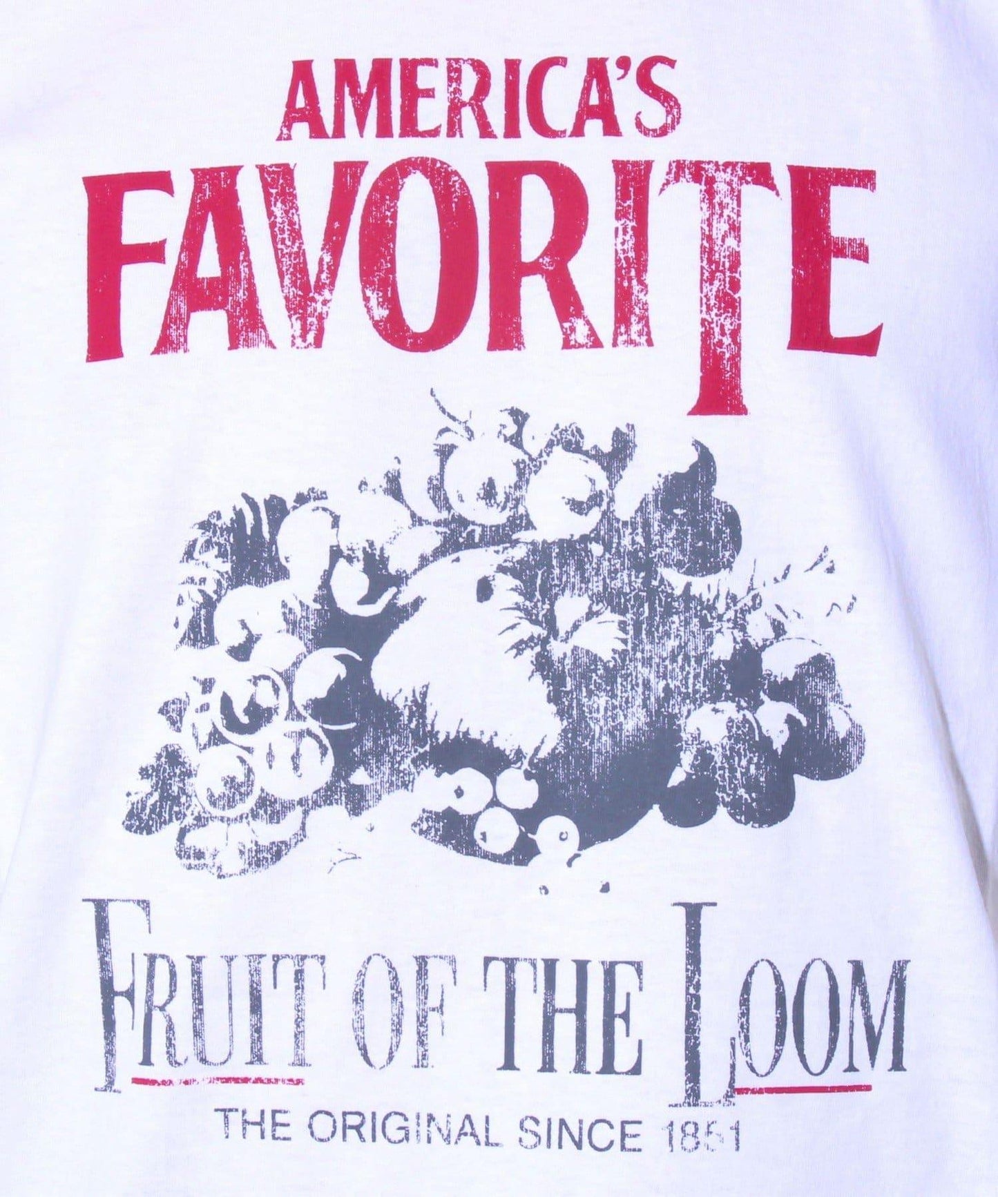 【FRUIT OF THE LOOM】印花T恤 前胸印花