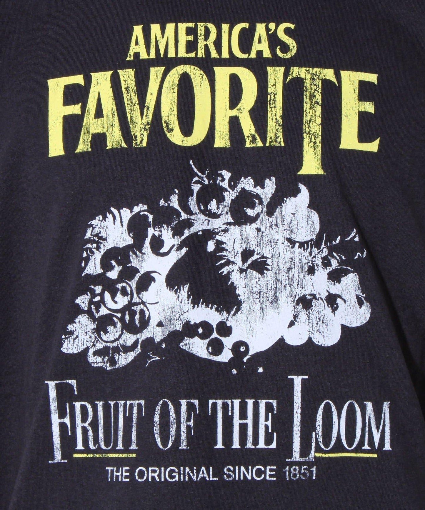 【FRUIT OF THE LOOM】印花T恤 前胸印花
