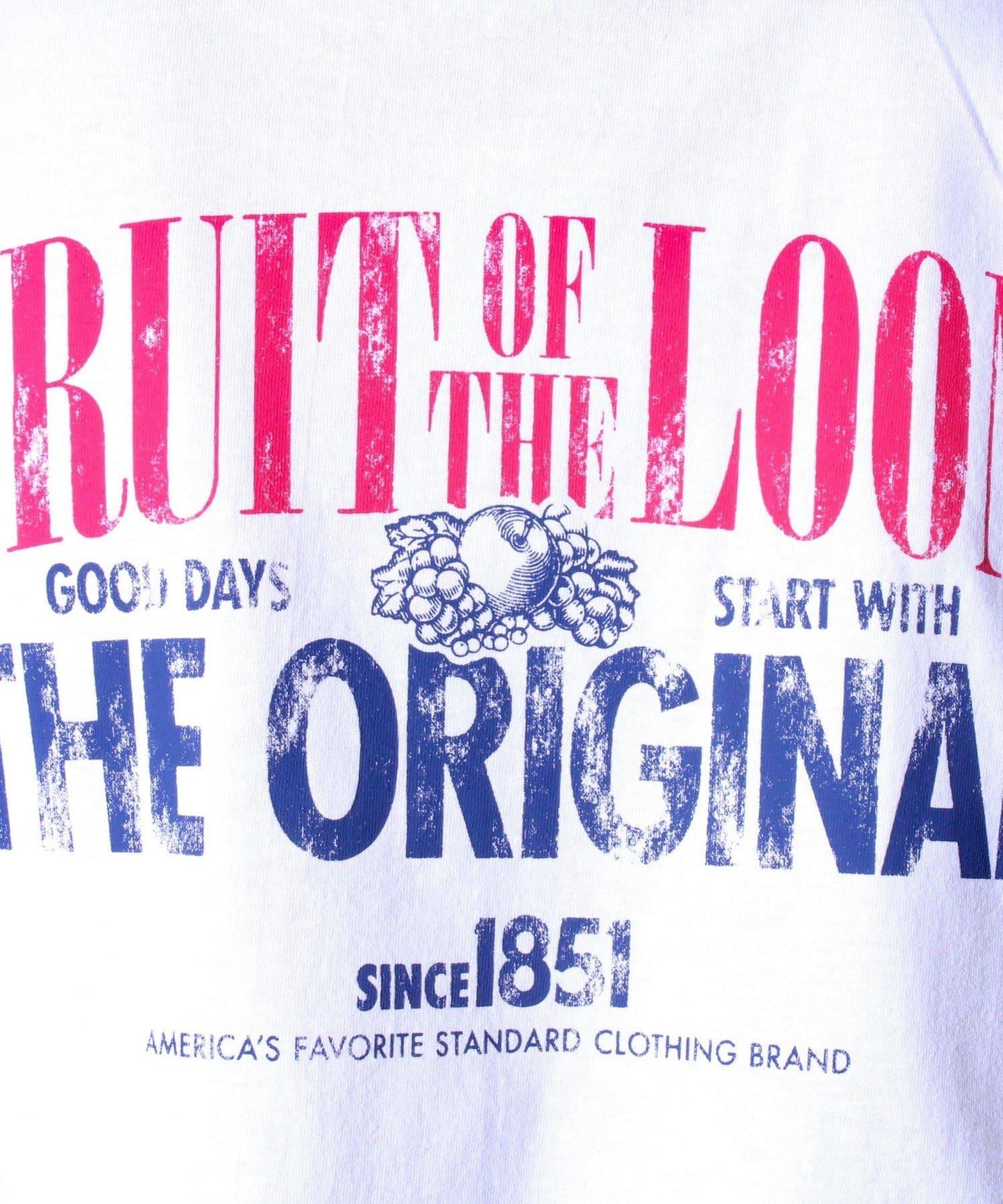 【FRUIT OF THE LOOM】印花T恤 背面印花