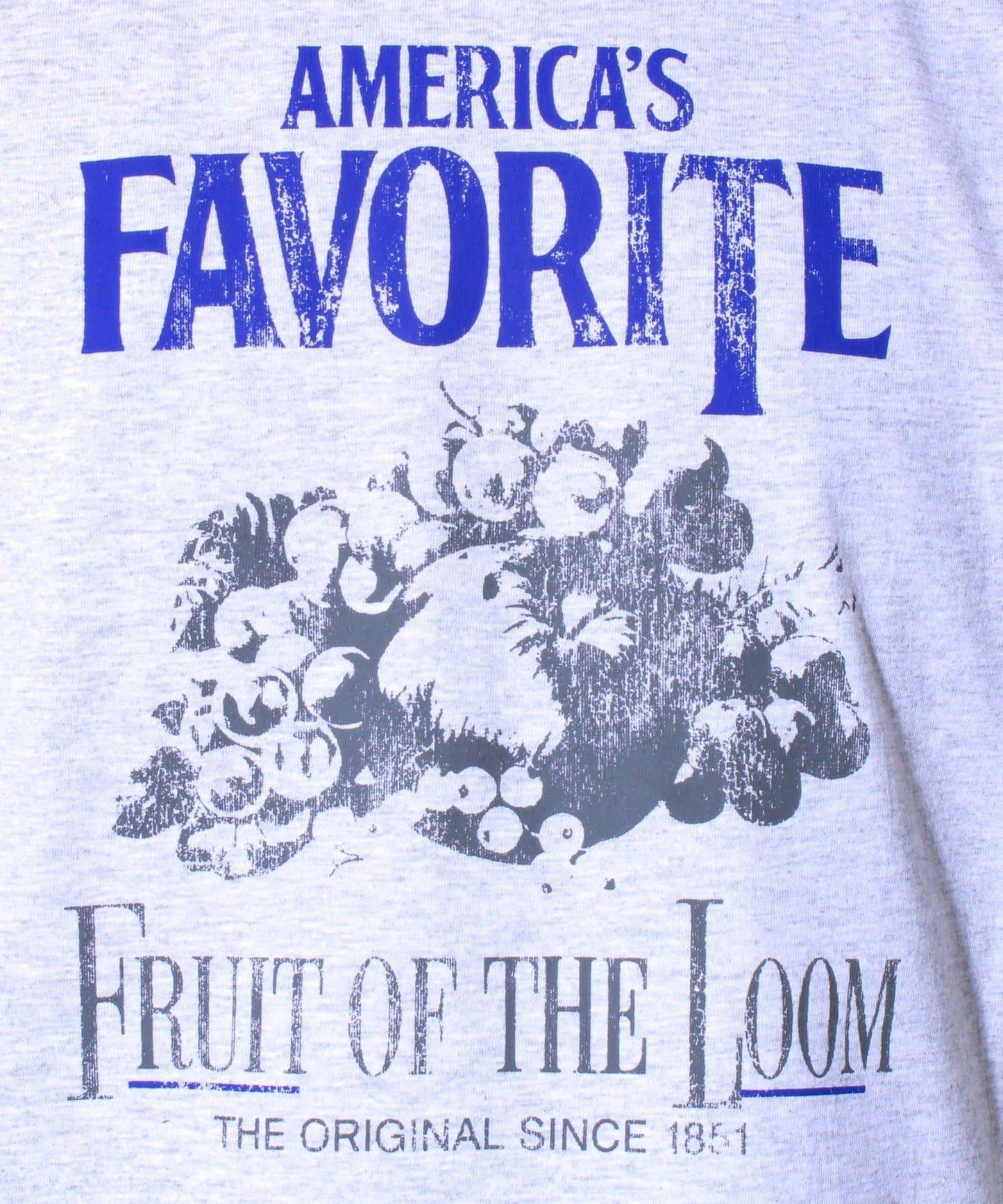 【FRUIT OF THE LOOM】印花T恤 前胸印花