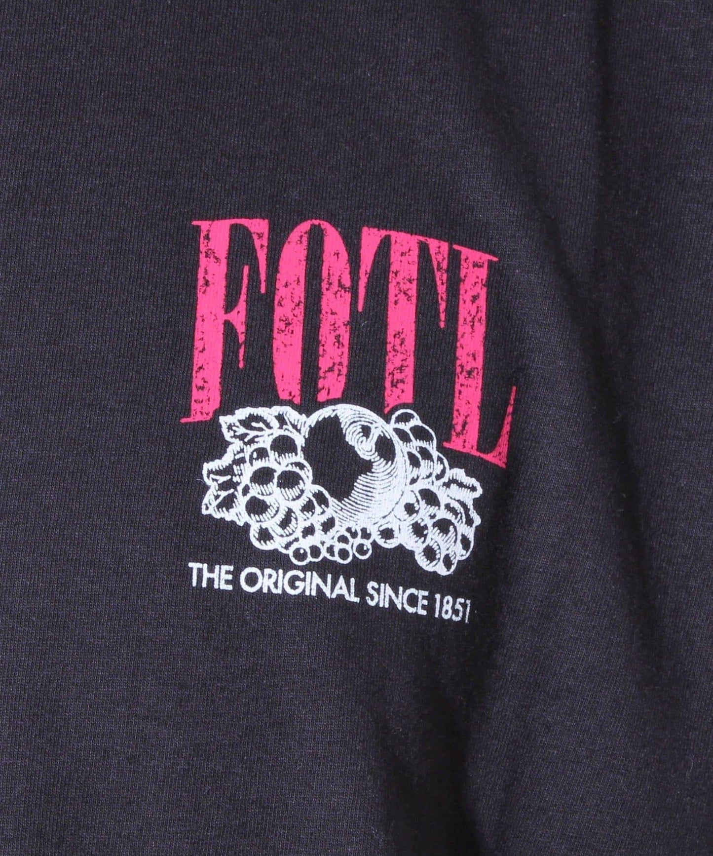 【FRUIT OF THE LOOM】印花T恤 背面印花