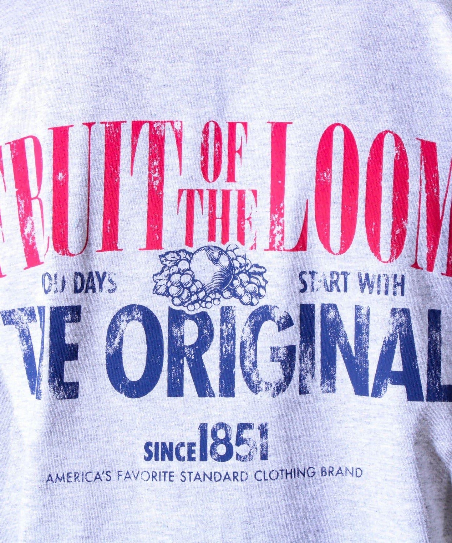【FRUIT OF THE LOOM】印花T恤 背面印花