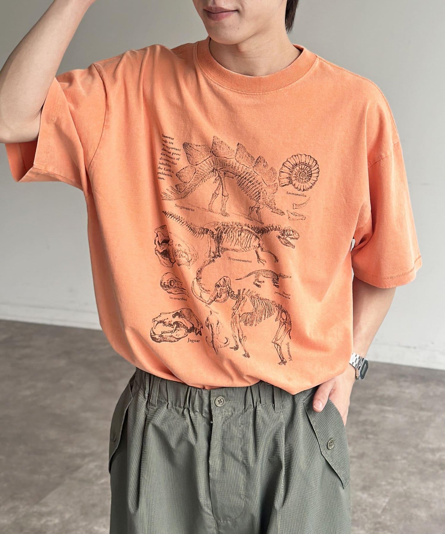彩色粉末恐龍T-shirt