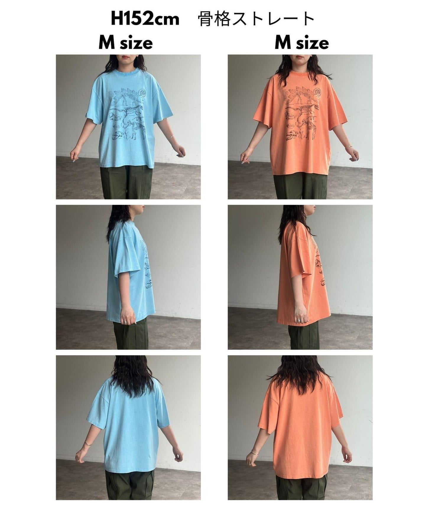 彩色粉末恐龍T-shirt