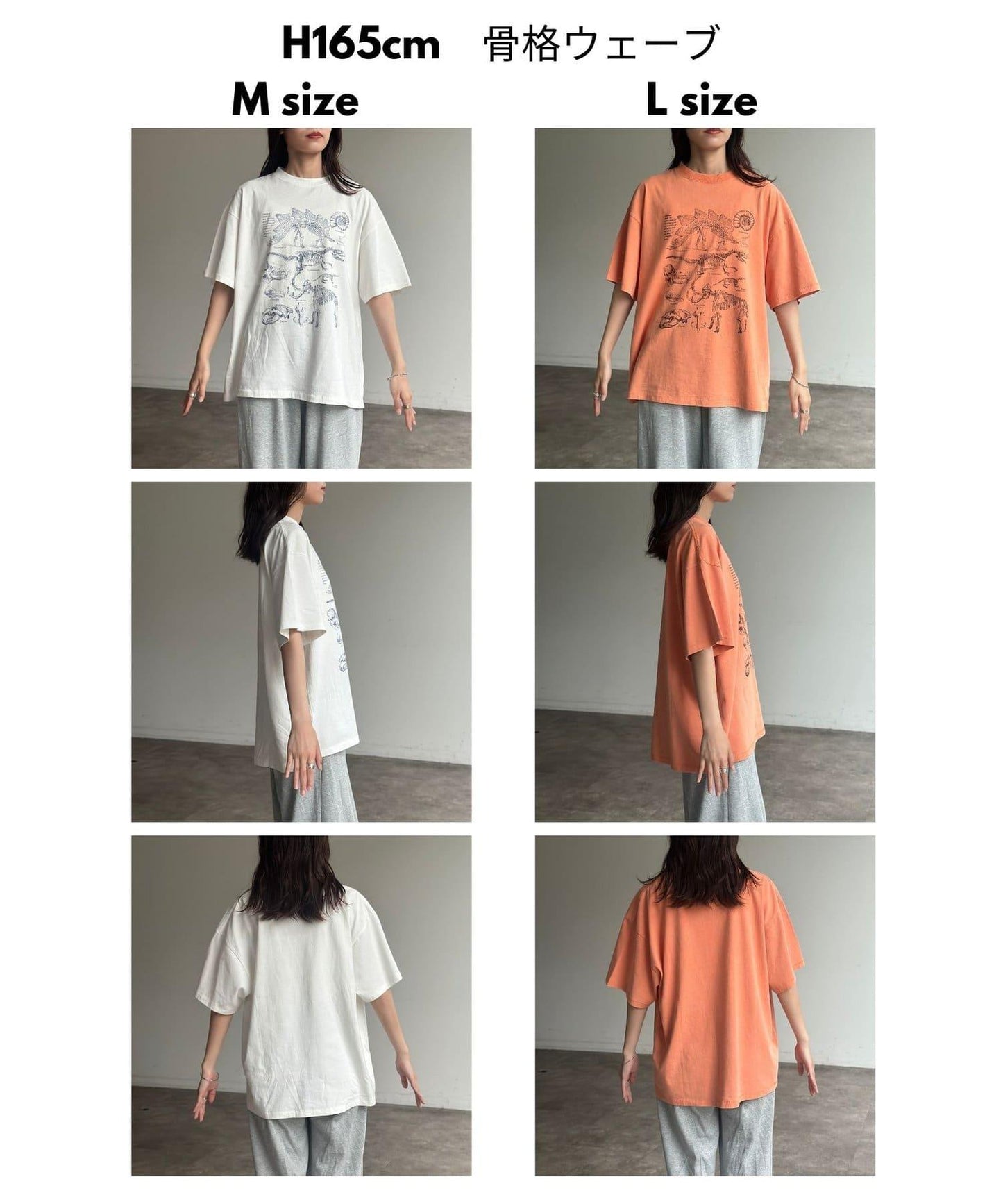 彩色粉末恐龍T-shirt