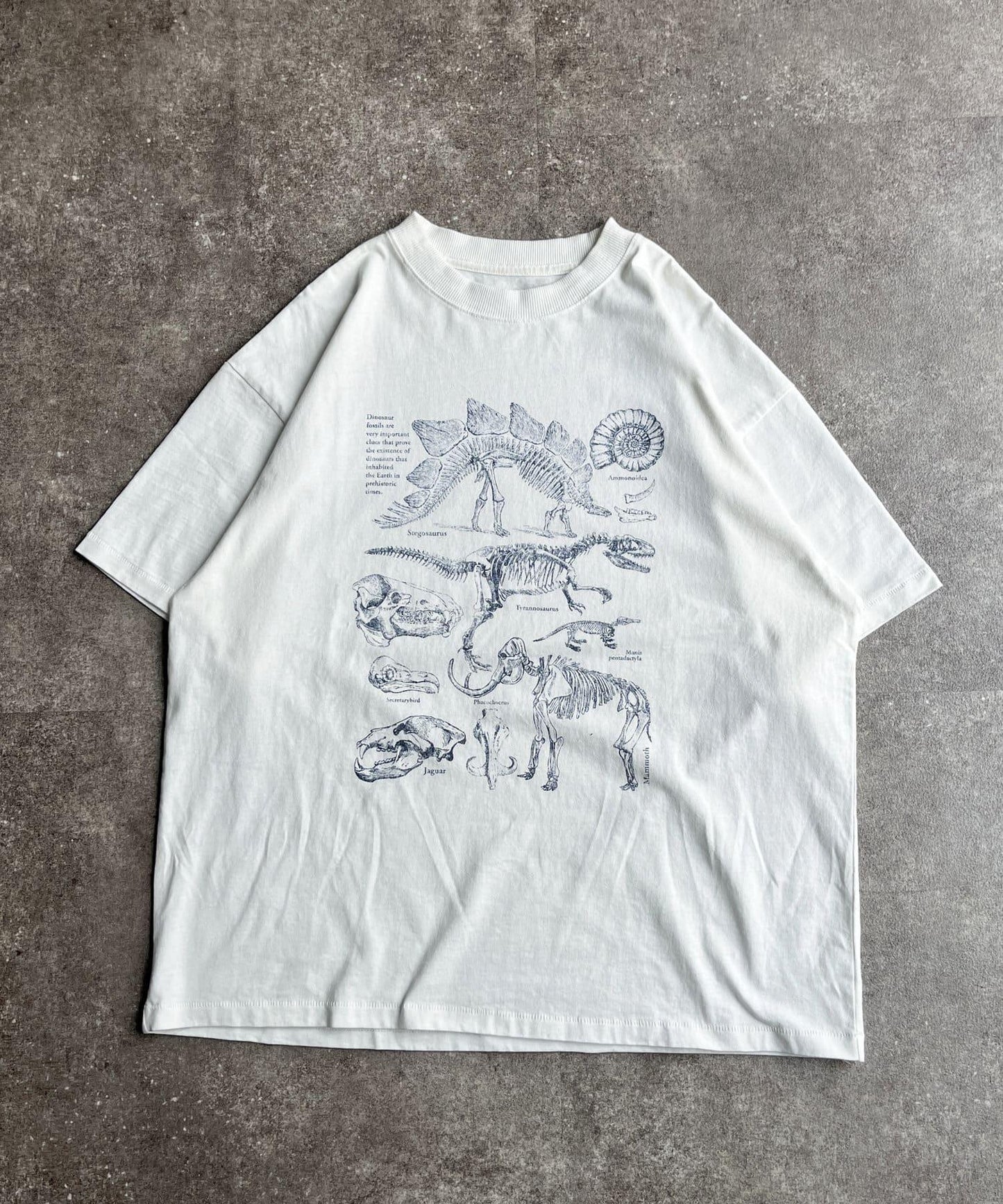 彩色粉末恐龍T-shirt