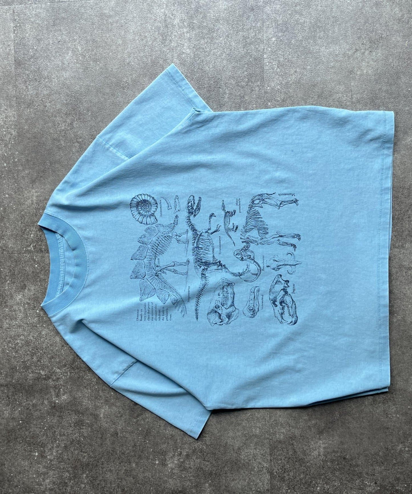 彩色粉末恐龍T-shirt