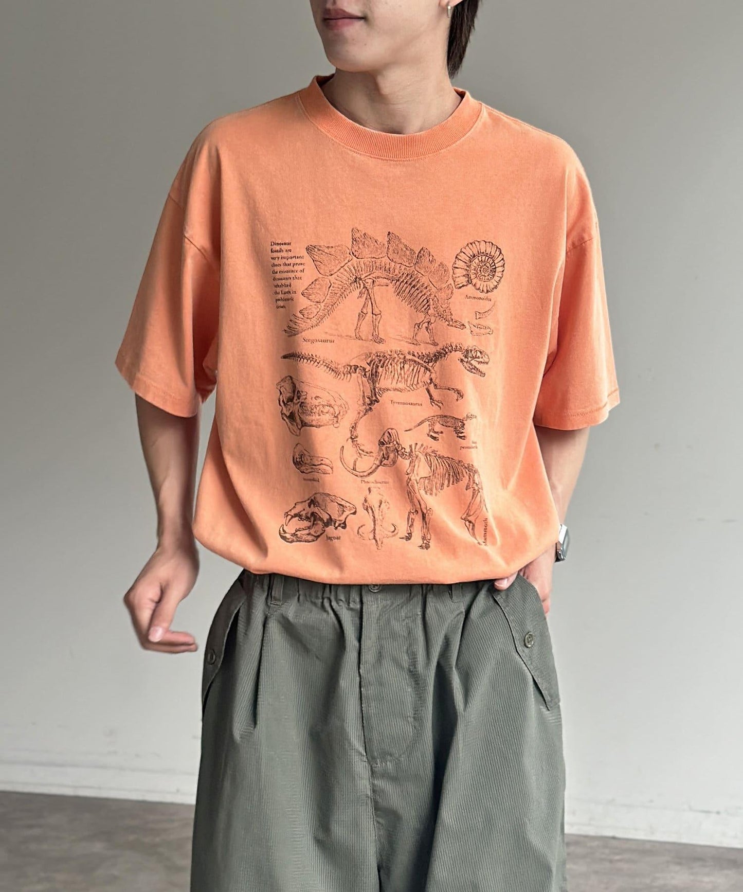彩色粉末恐龍T-shirt