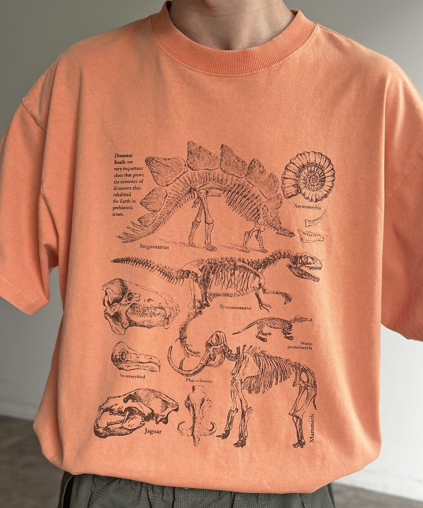 彩色粉末恐龍T-shirt