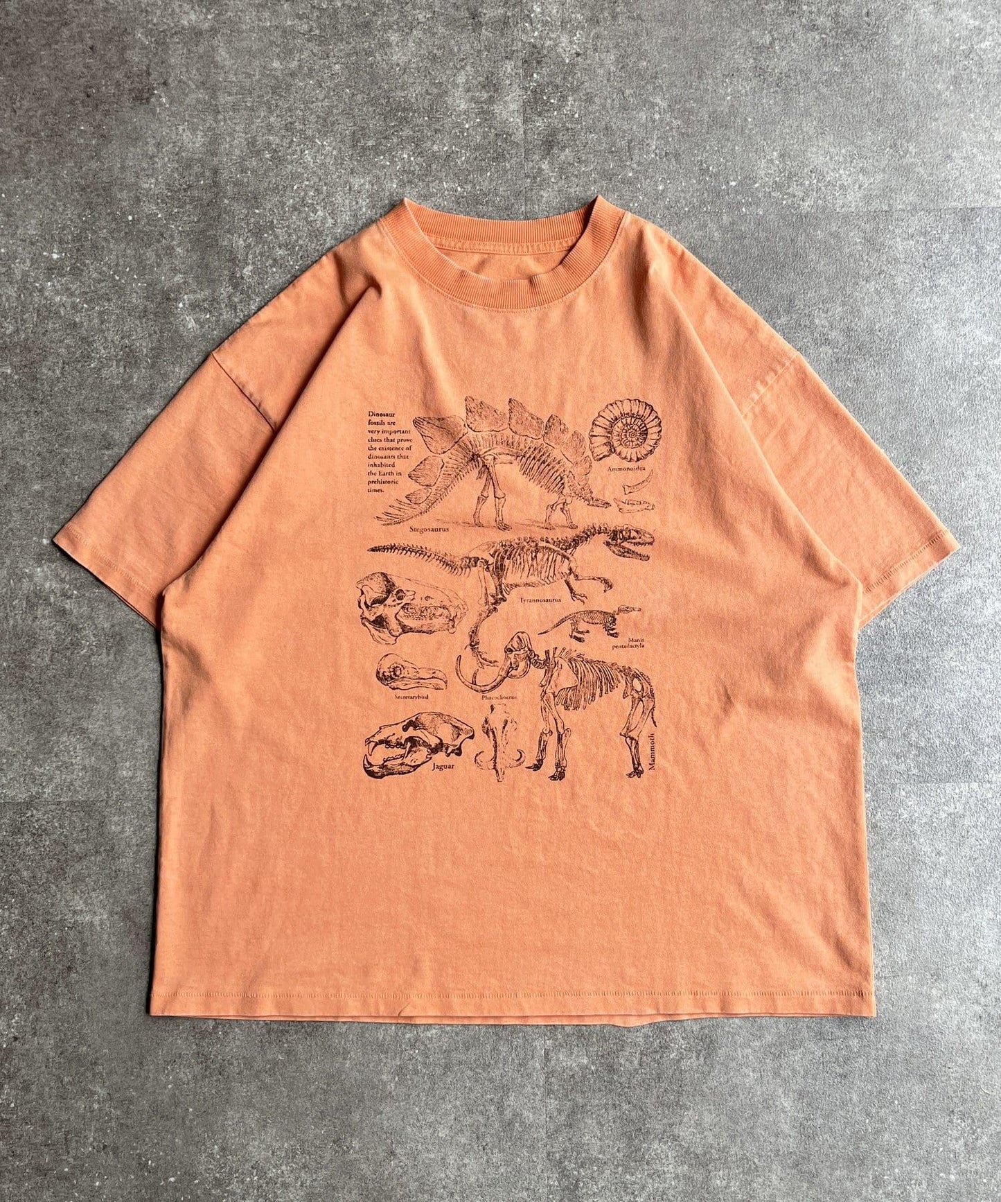 彩色粉末恐龍T-shirt