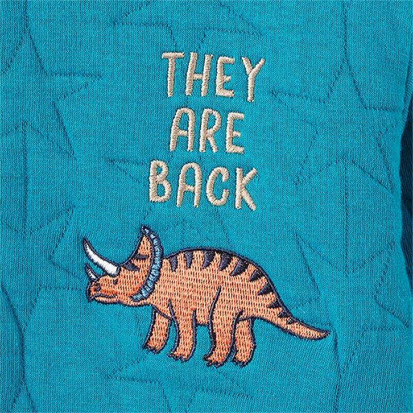 恐龍刺繡夾棉衛衣