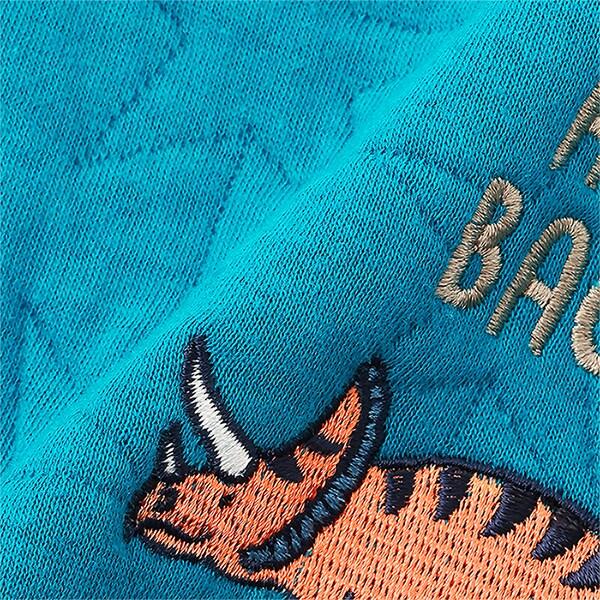 恐龍刺繡夾棉衛衣