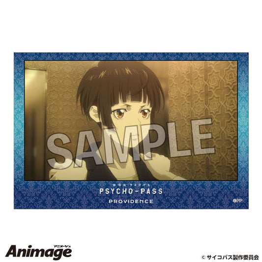 劇場版 《PSYCHO-PASS》 PROVIDENCE_積木玩具 14
