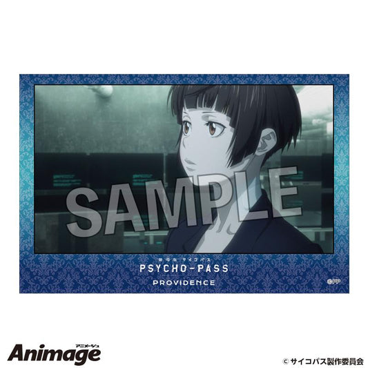 劇場版 《PSYCHO-PASS》 PROVIDENCE_積木玩具 9