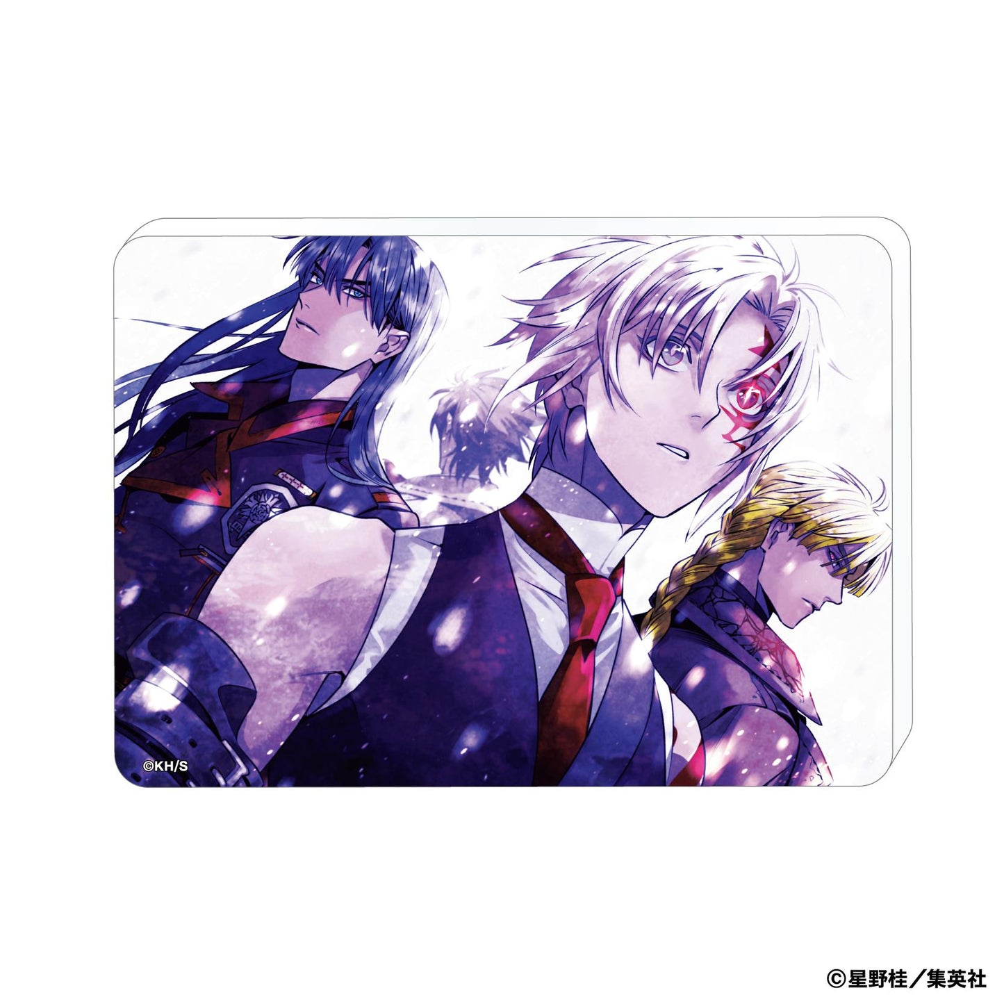 D.Gray-man 高級藝術/E