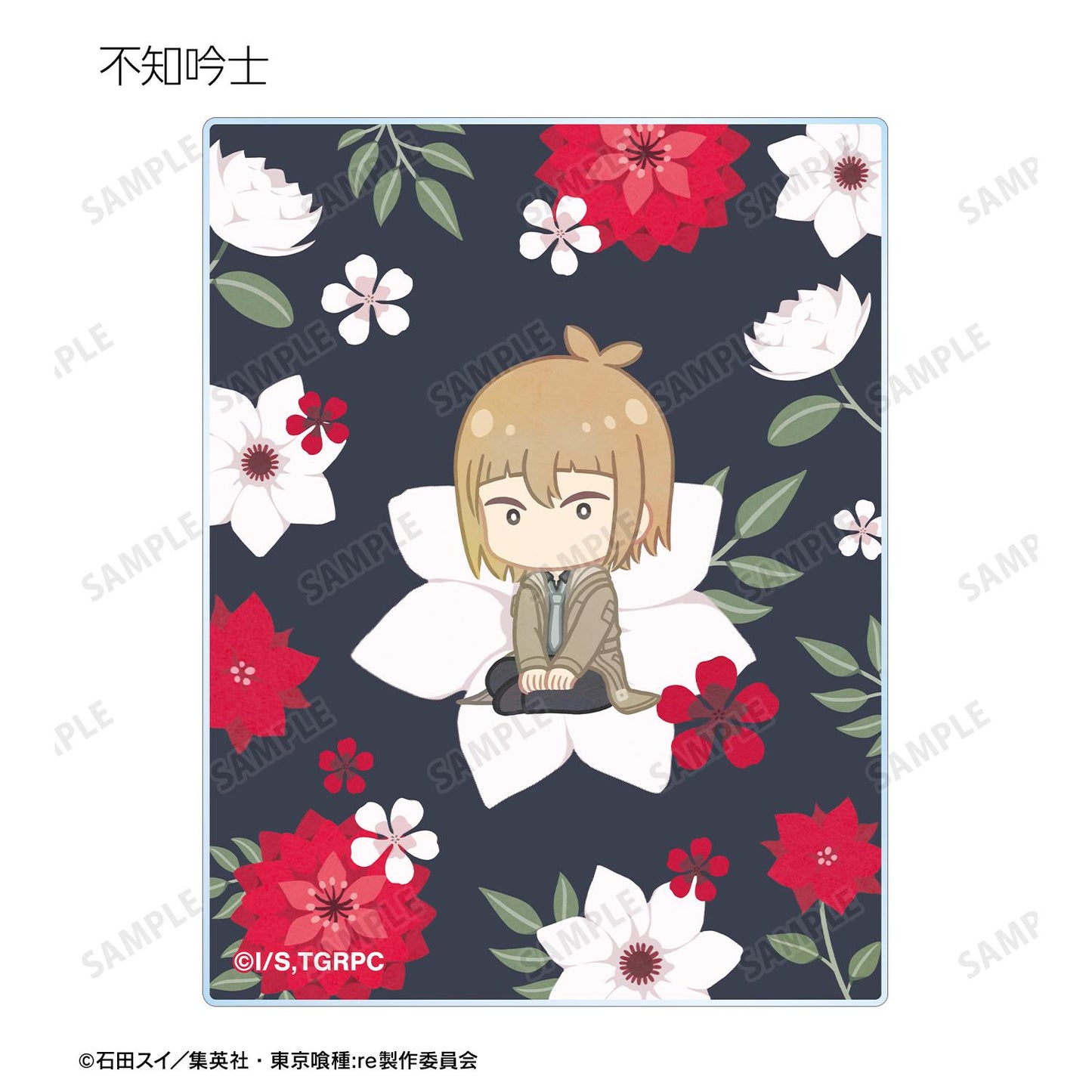 《東京喰種》:re Botania系列亞克力卡片(單品/全套BOX)【BOX/8包入】