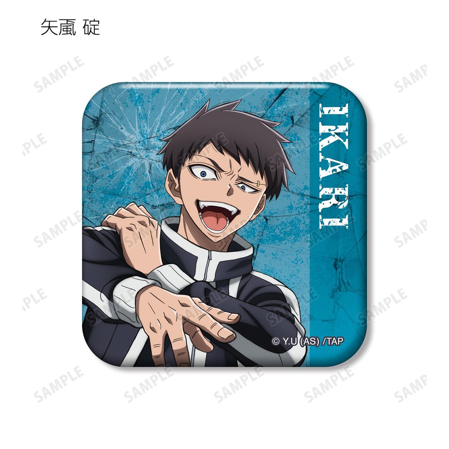 《桃源暗鬼》_隨機方形徽章(單品/全套BOX)【BOX/11包入】