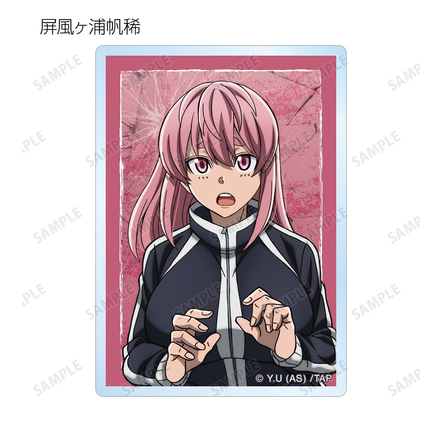 《桃源暗鬼》 隨機亞克力卡片(單品/全套BOX)【BOX/11包入】