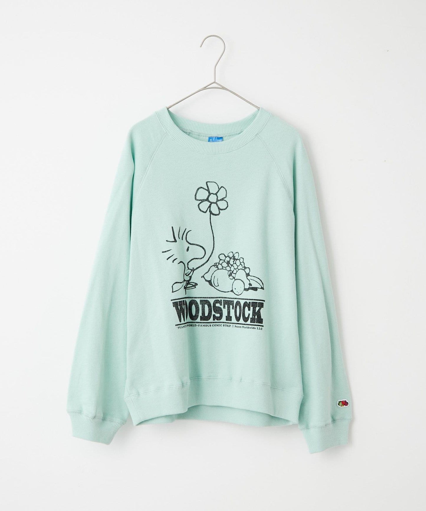 【Kastane】【《PEANUTS》×FTL】衛衣