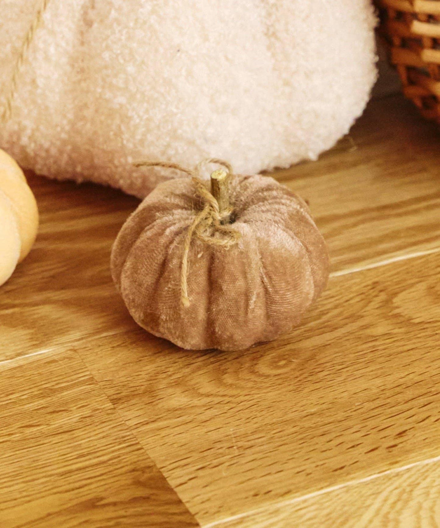 ベロアかぼちゃ:S/natural halloween
