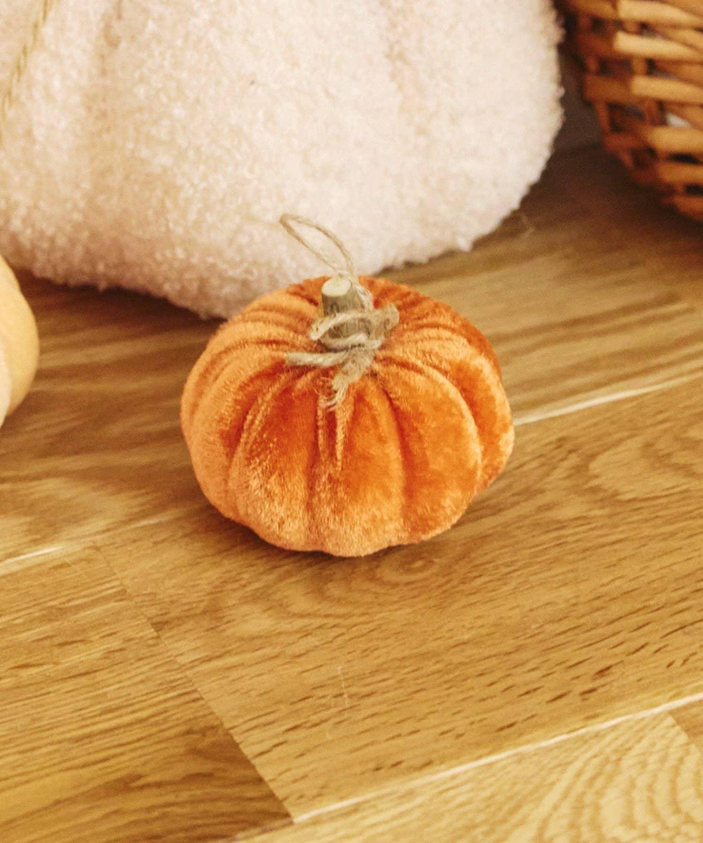ベロアかぼちゃ:S/natural halloween