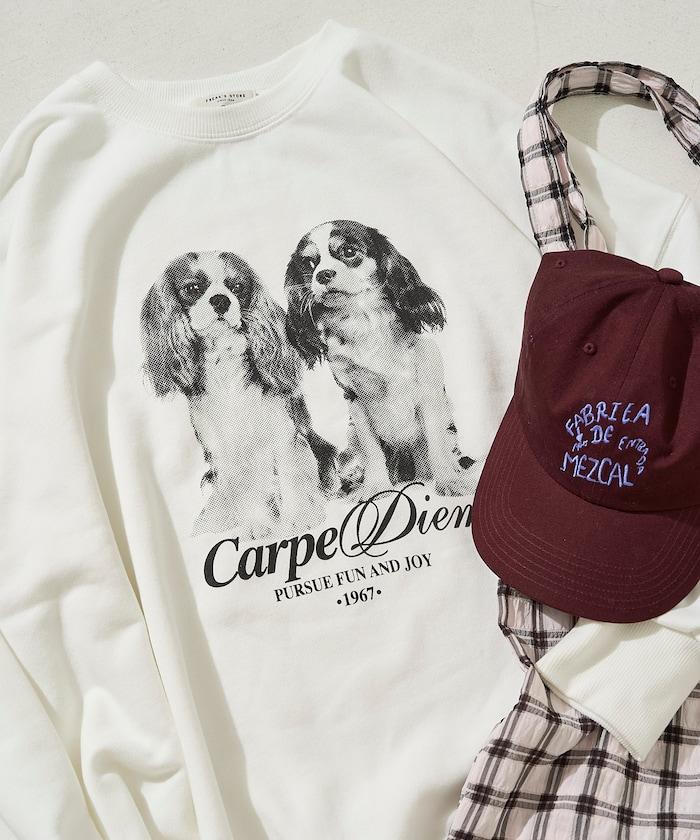 雙胞胎狗狗印花衛衣