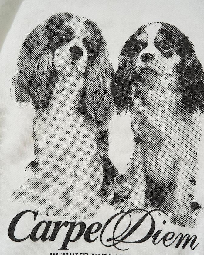 雙胞胎狗狗印花衛衣