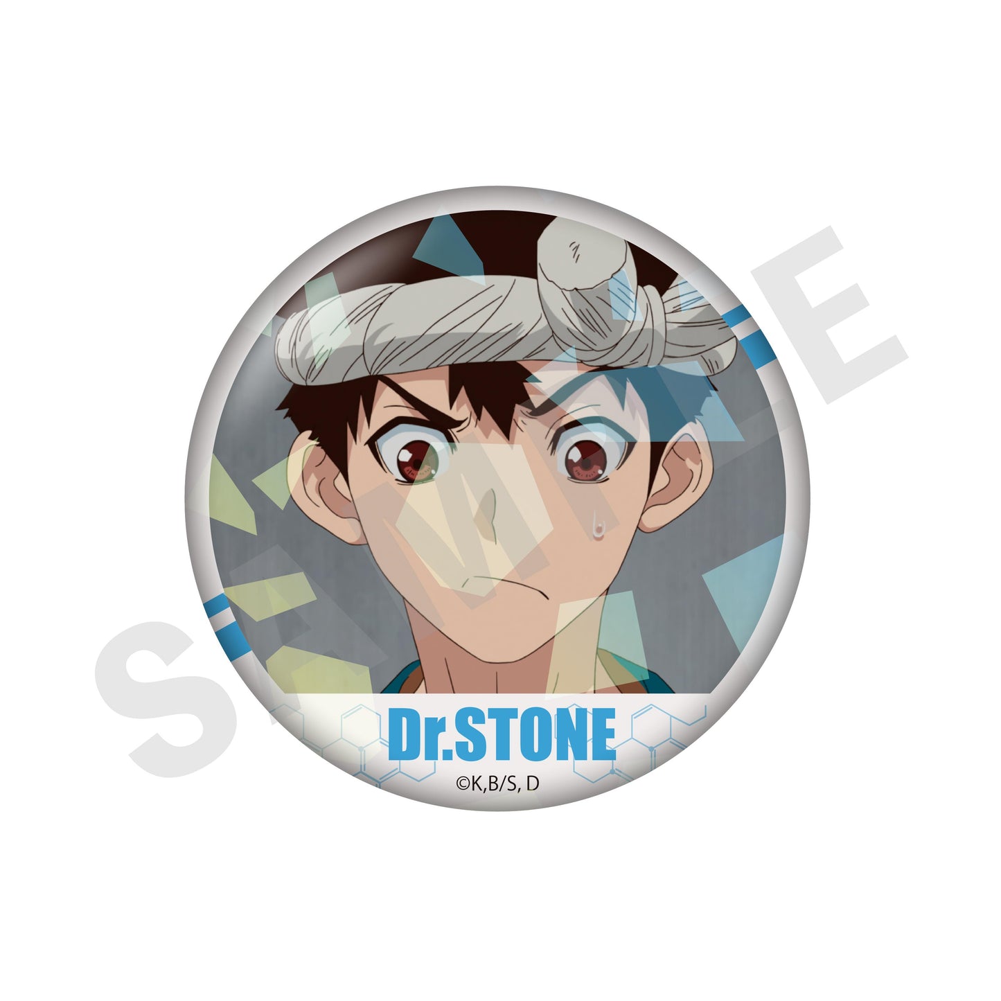 《Dr.STONE 石紀元》 閃亮場景寫真徽章(共10款)【BOX/10個裝】