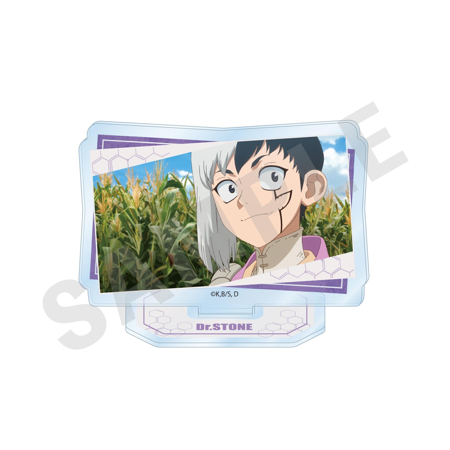 《Dr.STONE 石紀元》 場景插畫亞克力立牌(共10款)【BOX/10個裝】